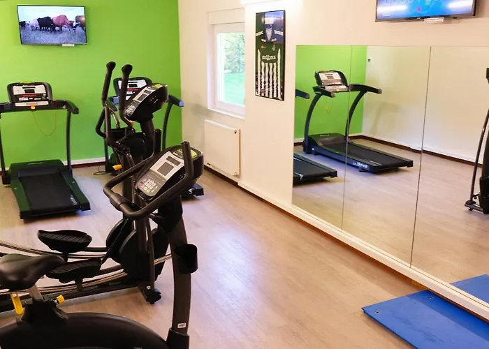 Ibis Styles Airport Aero 44 3* Charleroi